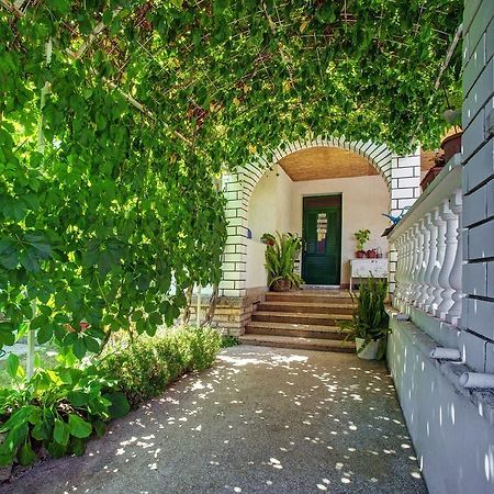 Apartmani Juricev Водице Экстерьер фото
